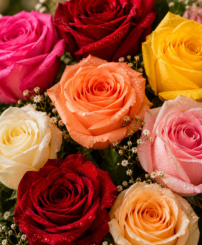 8 Mixed Rose Bouquet