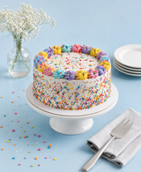 Rainbow Sprinkle Celebration Cake