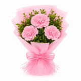 Blush Carnation Trio Bouquet