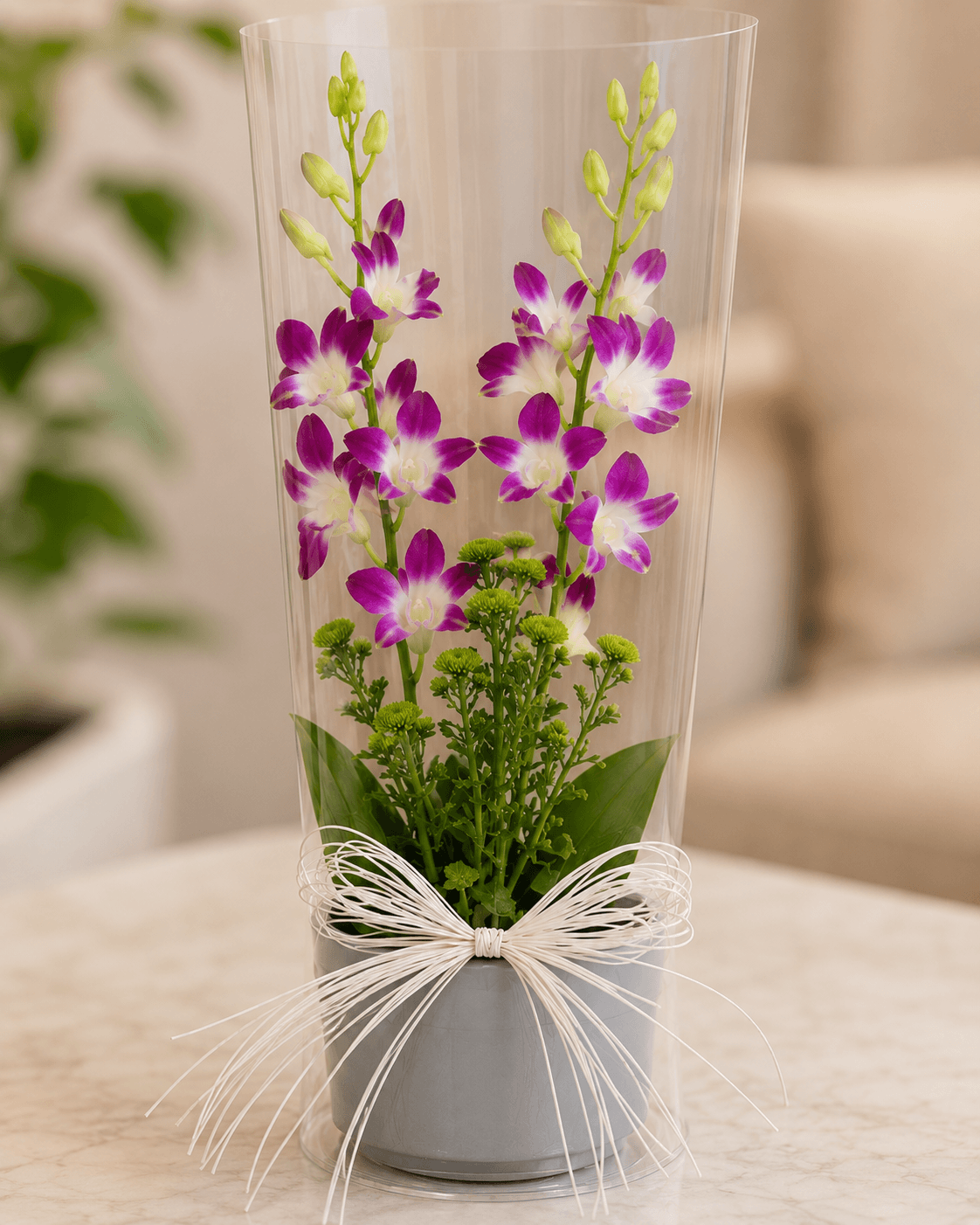 Heartfelt Orchid Elegance