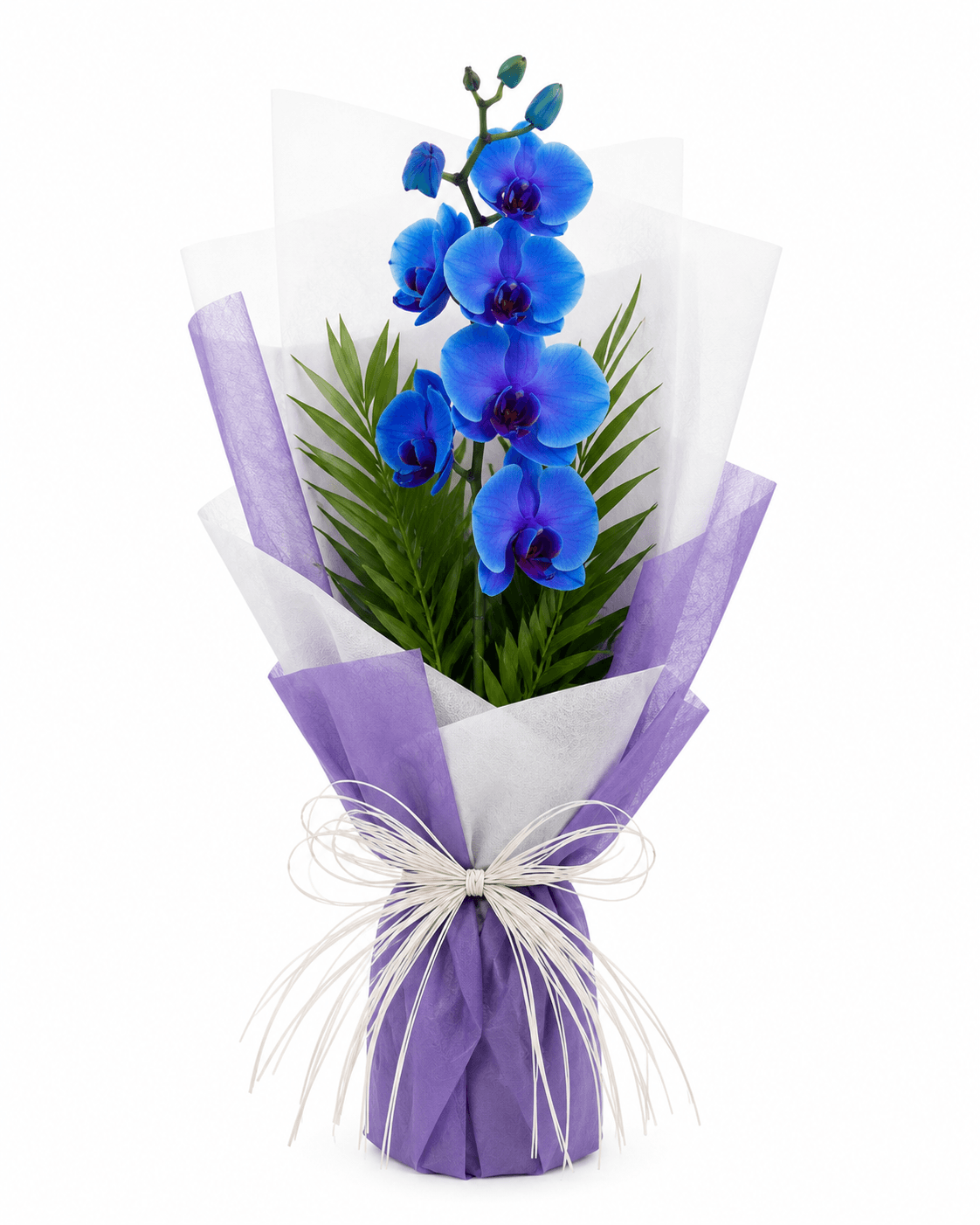 Enchanted Blue Orchid Flower Bouquet