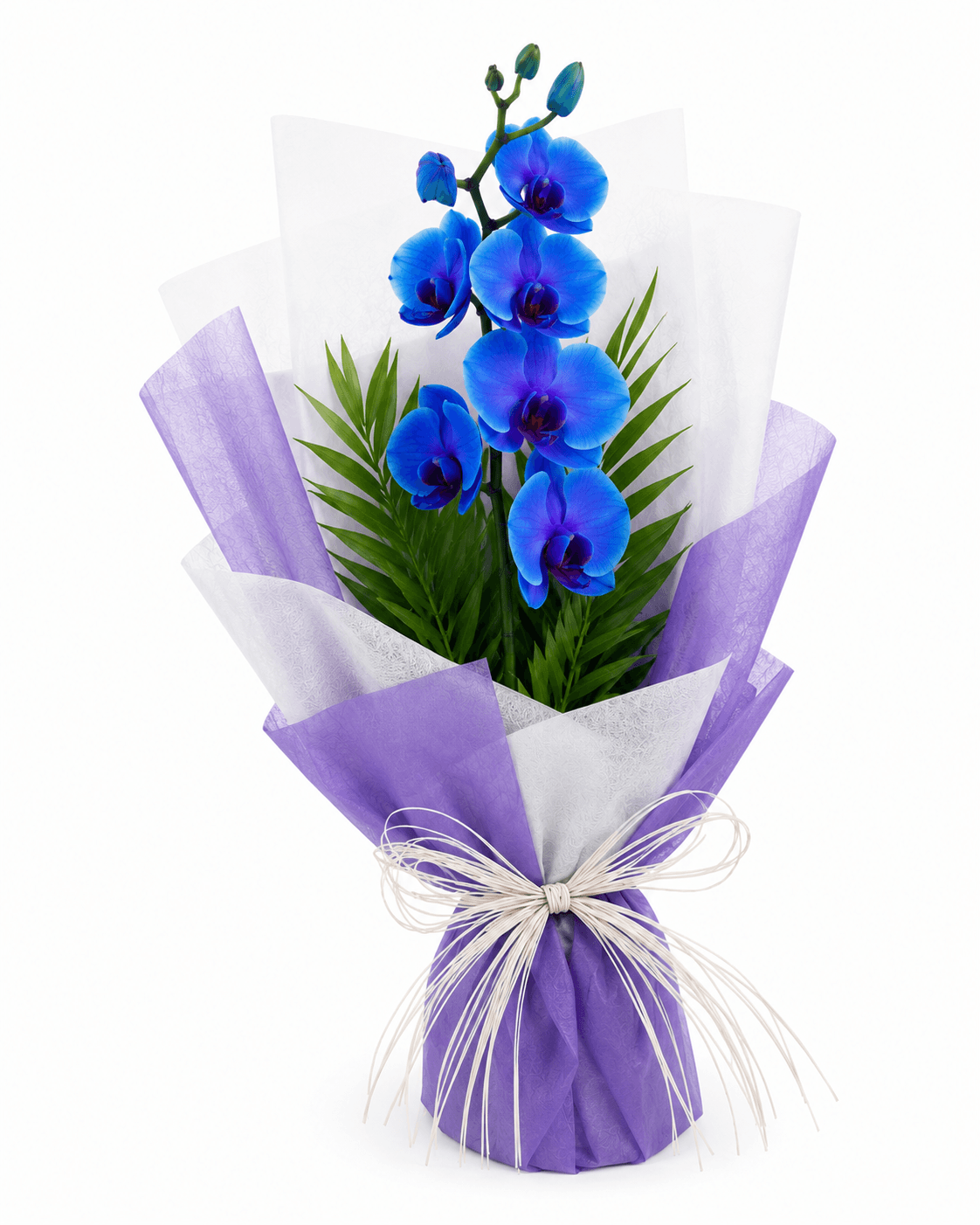 Enchanted Blue Orchid Flower Bouquet