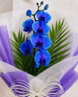 Enchanted Blue Orchid Flower Bouquet