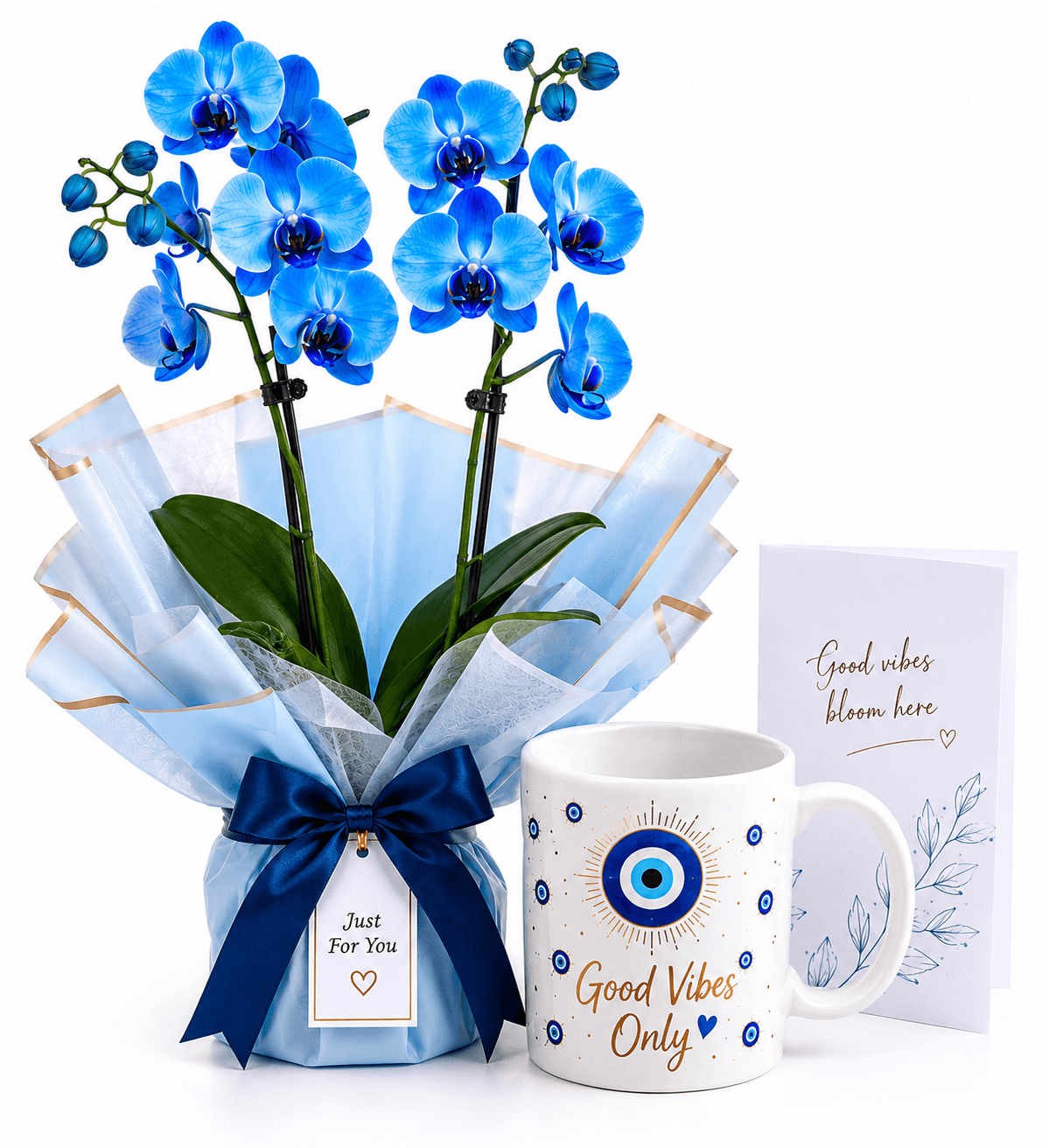 Good Vibes Mug & Orchids Combo