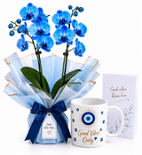 Good Vibes Mug & Orchids Combo