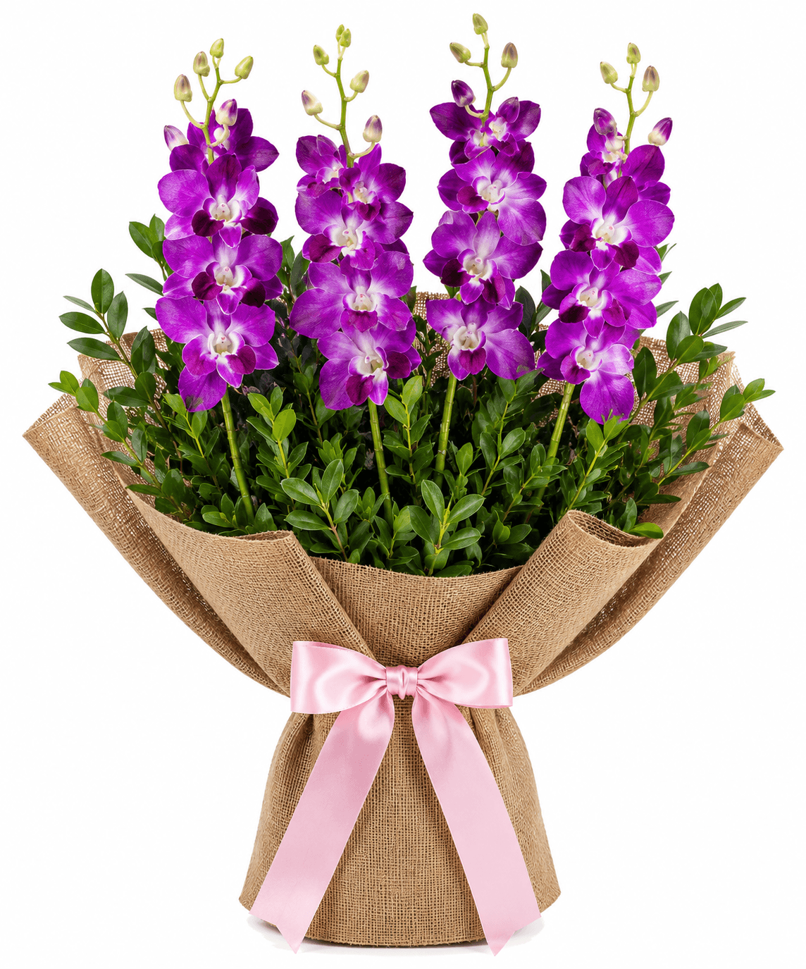 Orchid Drapes