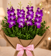 Orchid Drapes