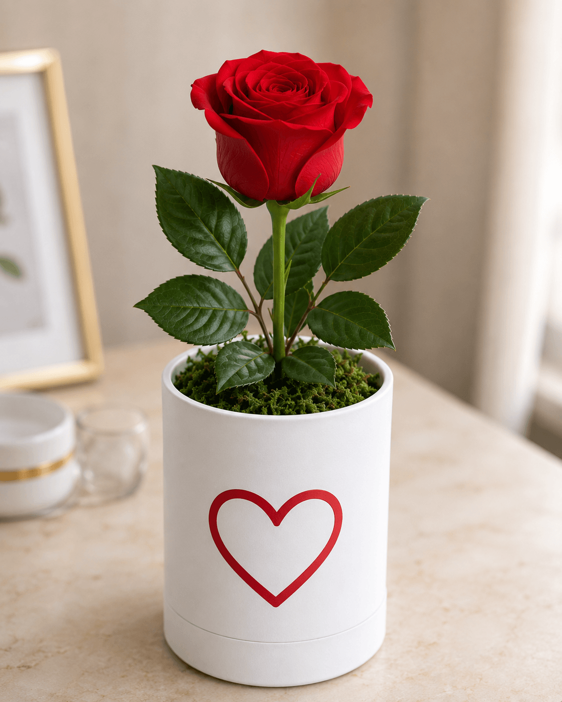 Serene Single Red Rose in Magnetic Cork