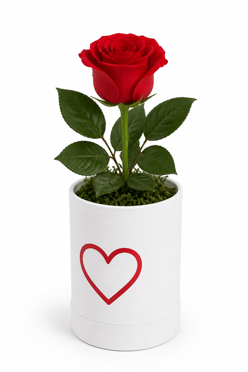 Serene Single Red Rose in Magnetic Cork