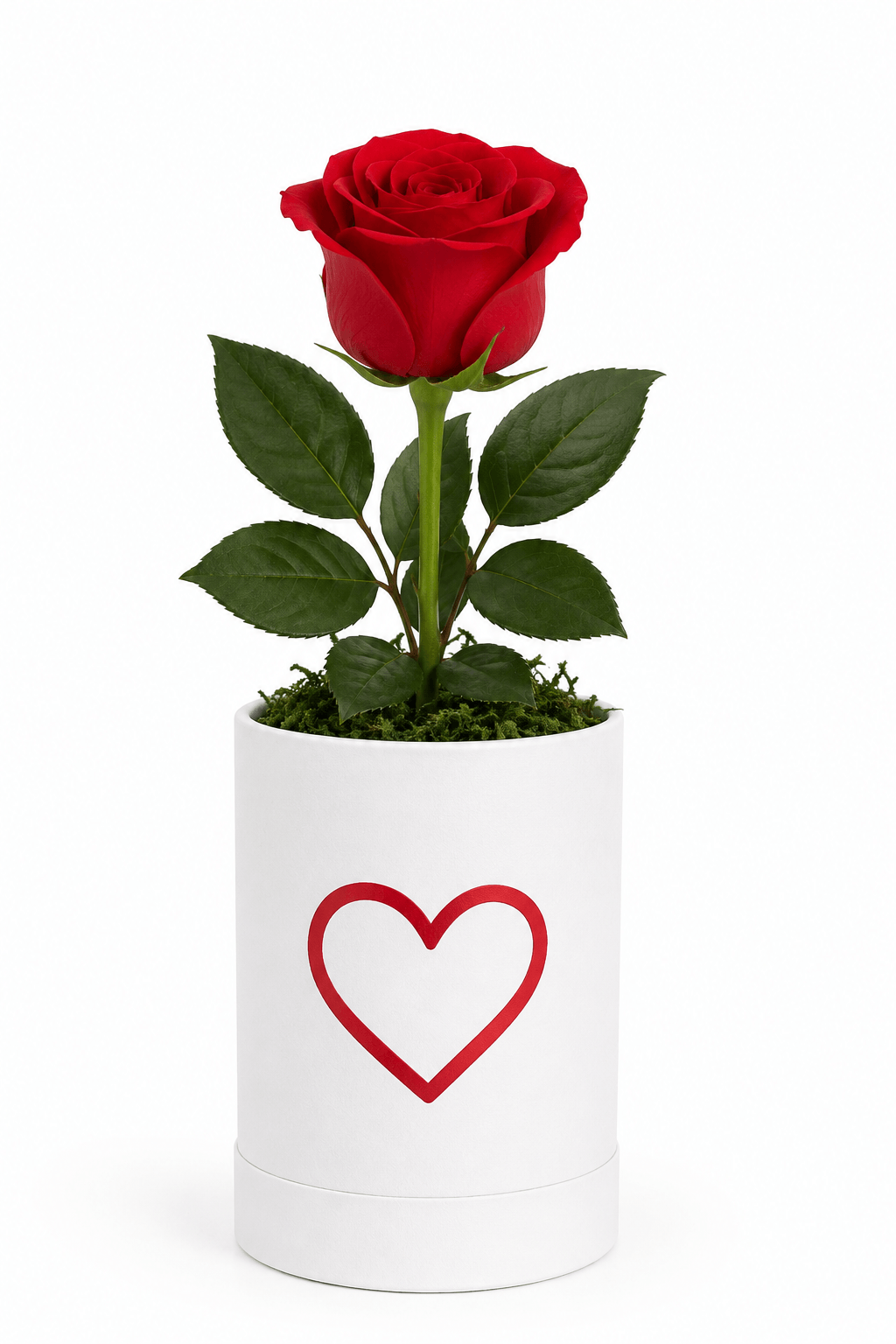 Serene Single Red Rose in Magnetic Cork