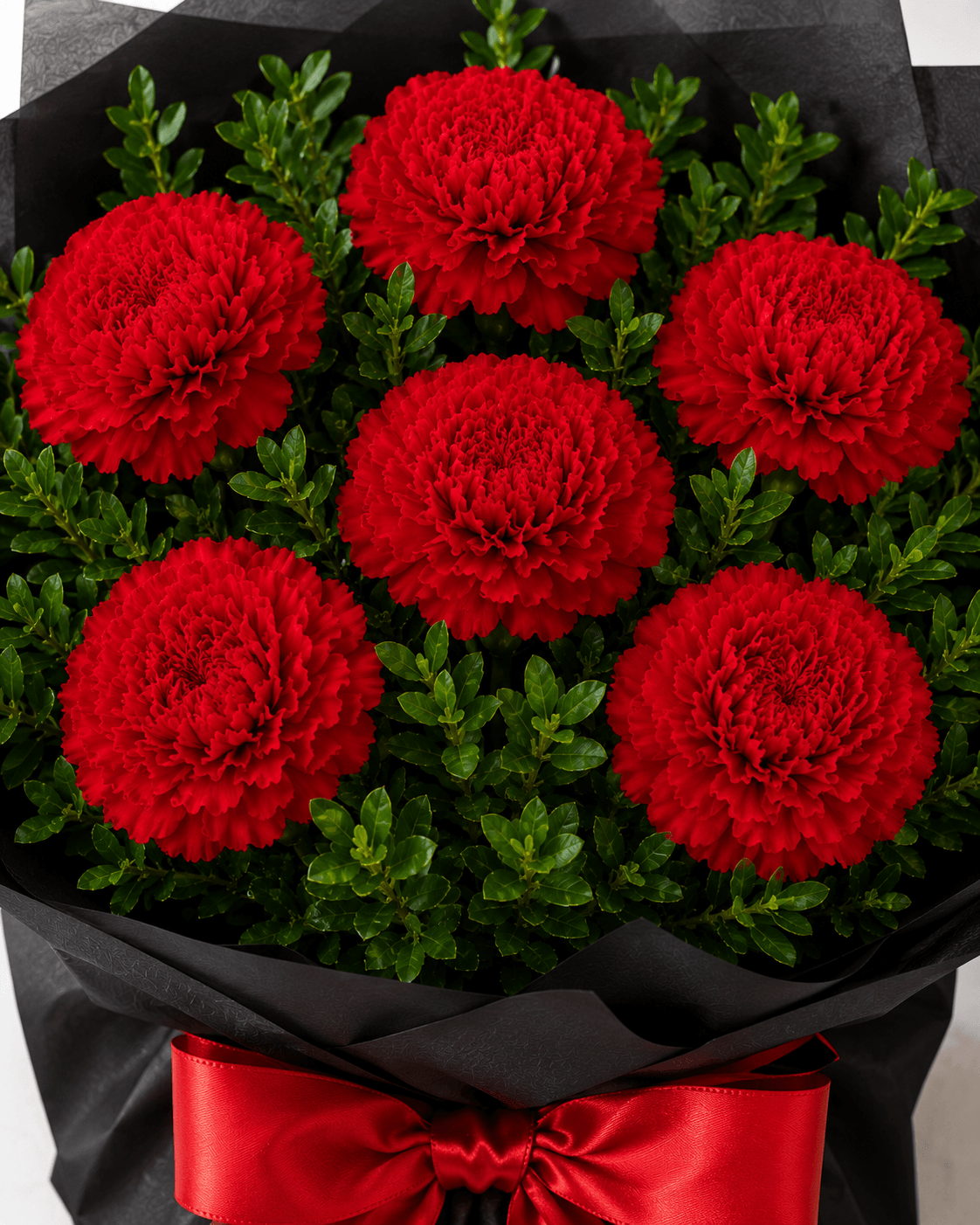 Captivating 6 Red Carnations Flower Bunch