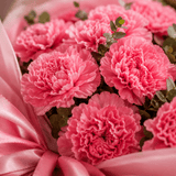 Pink Velvet Carnation Bouquet