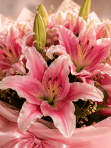 Blushing Lily Elegance Bouquet