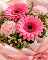 Vibrant Carnation Blooms