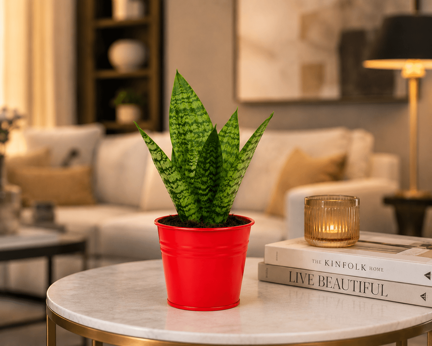 Snake Plant Sanctuary in Red Metal Pot