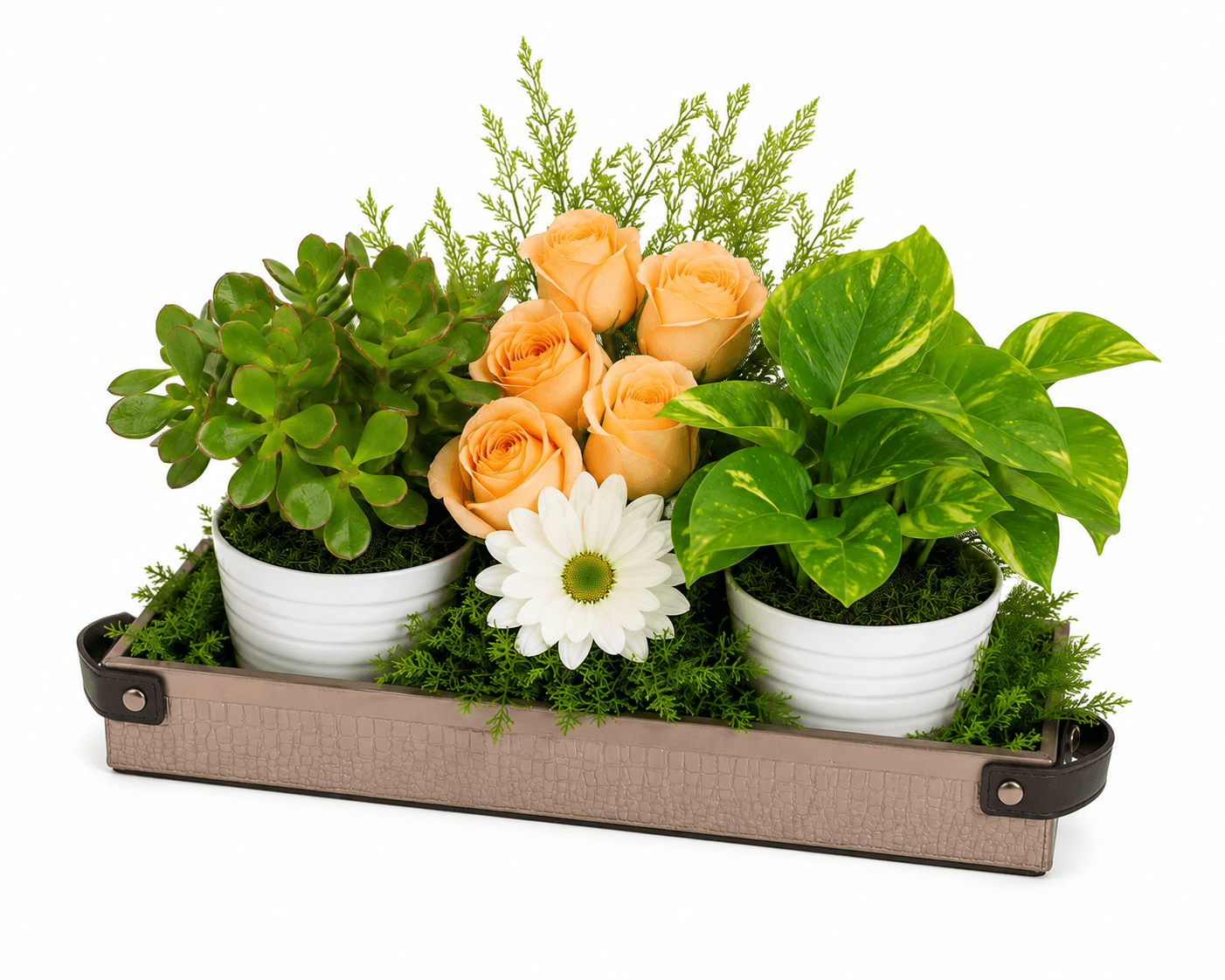 Green Babies & Floral Beauties Gift Tray