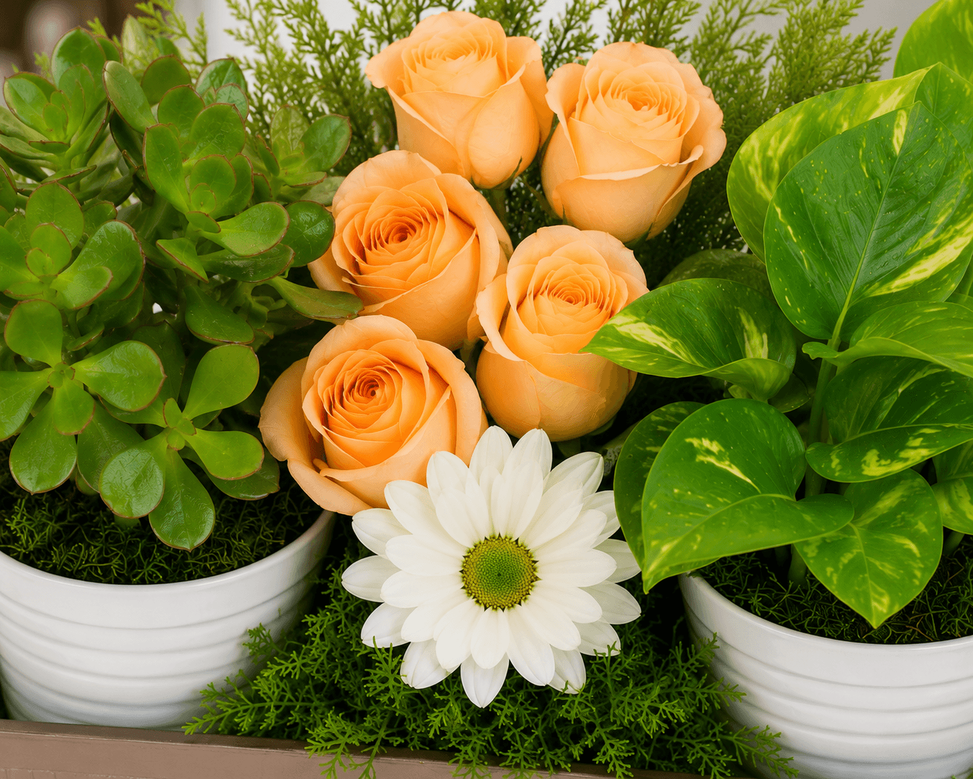Green Babies & Floral Beauties Gift Tray