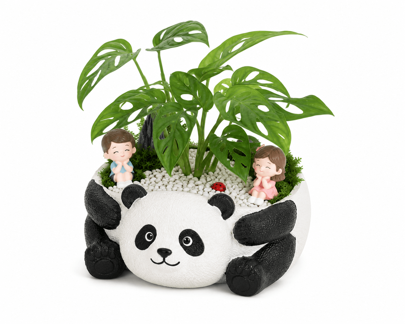 Panda Dreamscape Monstera Planter
