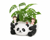 Panda Dreamscape Monstera Planter