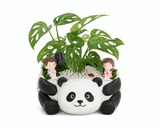 Panda Dreamscape Monstera Planter