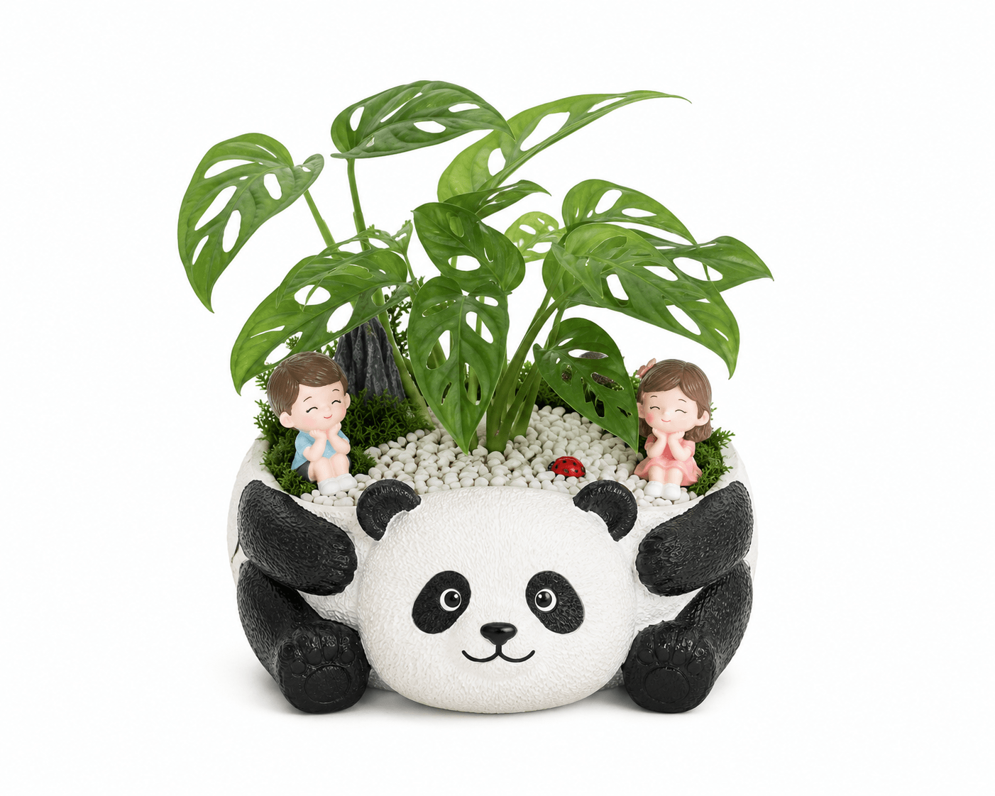 Panda Dreamscape Monstera Planter