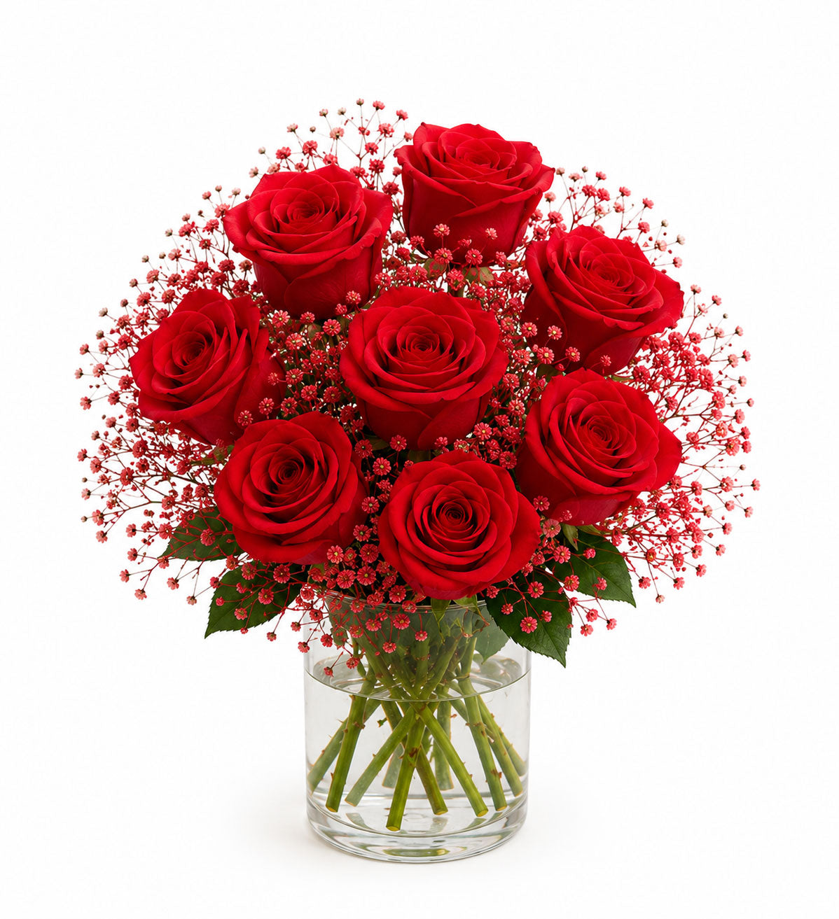 Glass Full of Red Rose