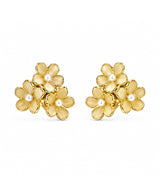 Golden Floral Cluster Pearl Stud Earrings