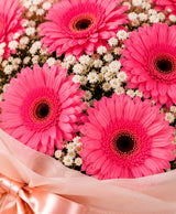 Pink Gerbera Bouquet