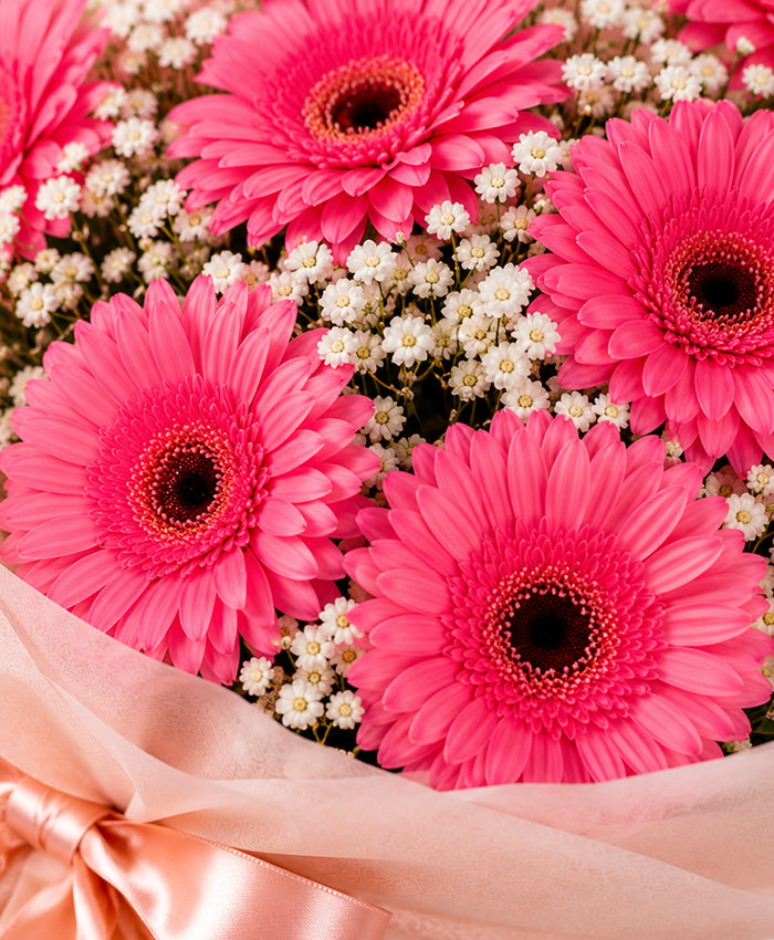 Pink Gerbera Bouquet