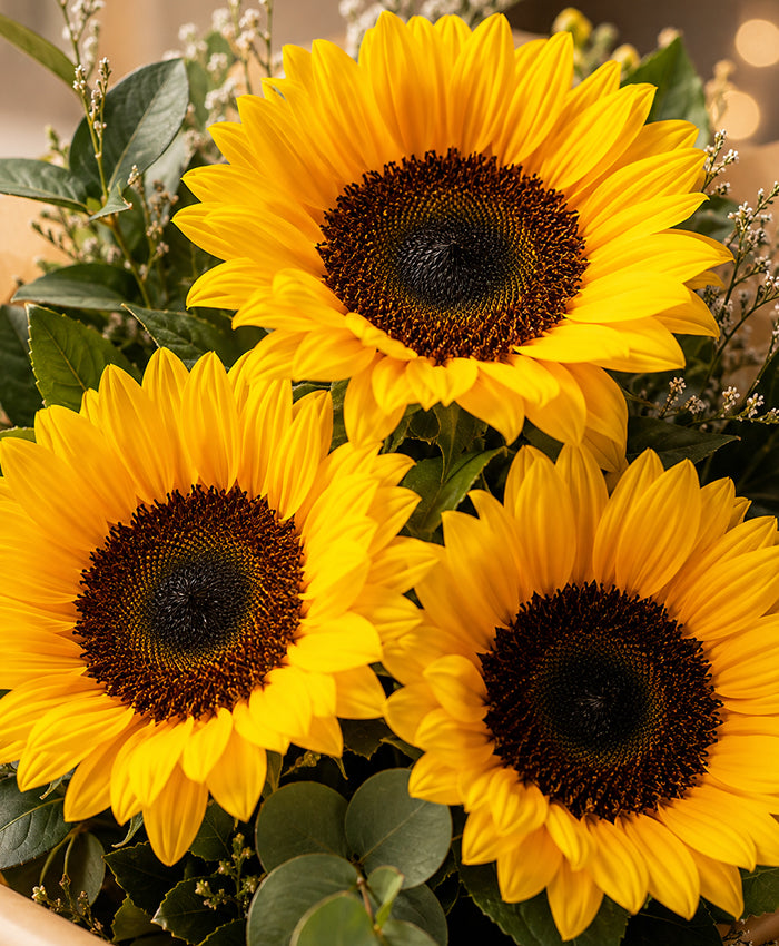 3 Sunflower Bouquet