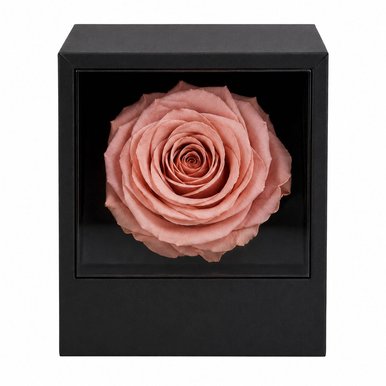 Forever Pink – Timeless Femme Rose