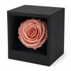 Forever Pink – Timeless Femme Rose