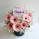 Blush Bloom Gerbera Elegance