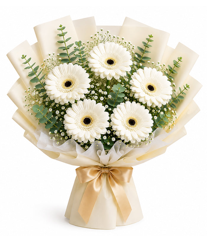 Pure White Gerbera Elegance (5 White Gerberas)