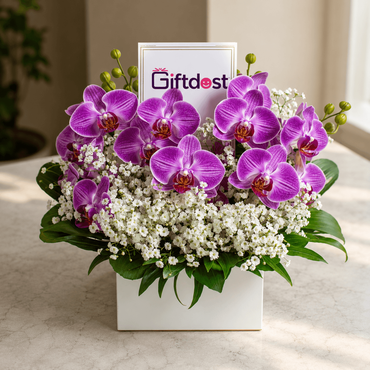 Royal Amethyst Orchid Bloom Box