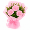 Blush Carnation Trio Bouquet