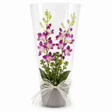 Heartfelt Orchid Elegance