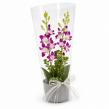 Heartfelt Orchid Elegance