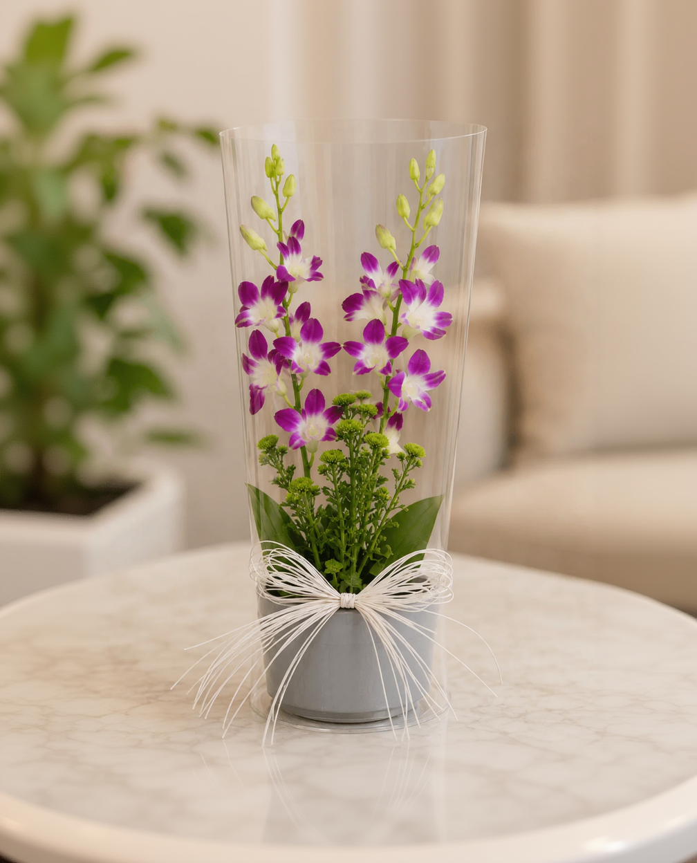 Heartfelt Orchid Elegance
