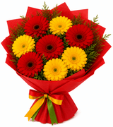Glorious Red & Yellow Gerbera Blossoms Bouquet