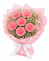 Cute Labubu Carnations Bouquet