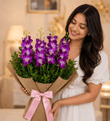 Orchid Drapes