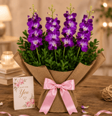 Orchid Drapes