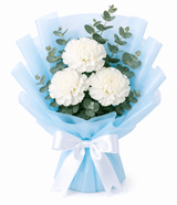 White Whisper Carnation Bunch