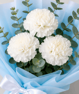 White Whisper Carnation Bunch