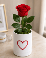 Serene Single Red Rose in Magnetic Cork