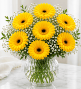 Yellow Mystique Gerbera Vase
