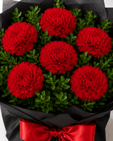 Captivating 6 Red Carnations Flower Bunch