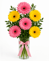 Blushing Beauty Gerberas Arrangement