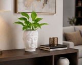 Prosperity Green Money Plant in Buddha Pot